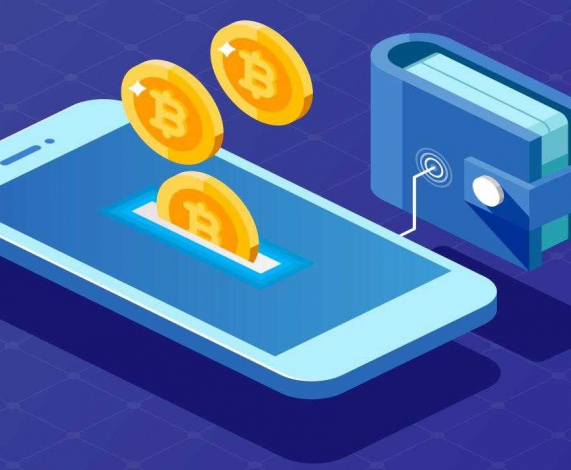 How crypto wallets work